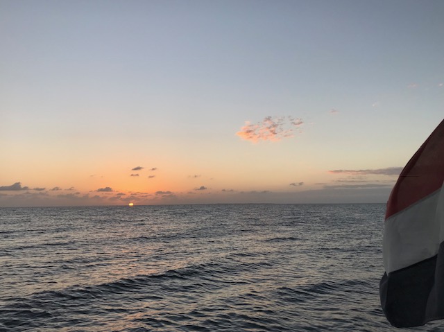 Sundowner Cayman Bra