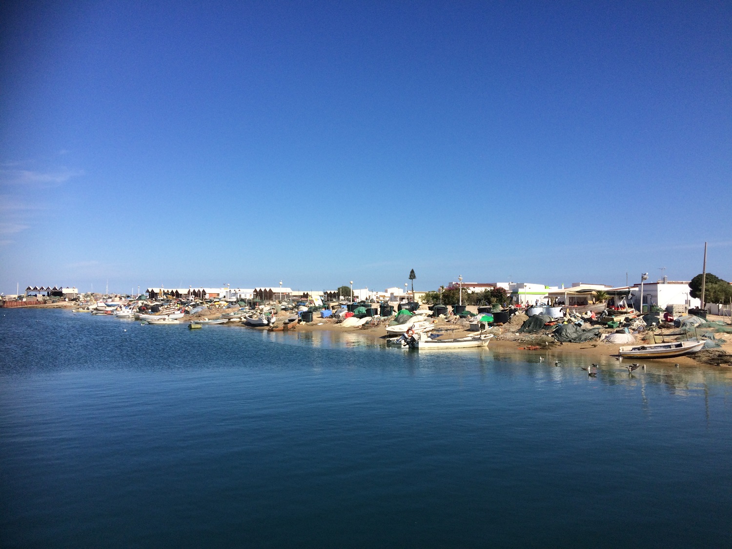 Ilha de Culhatra
