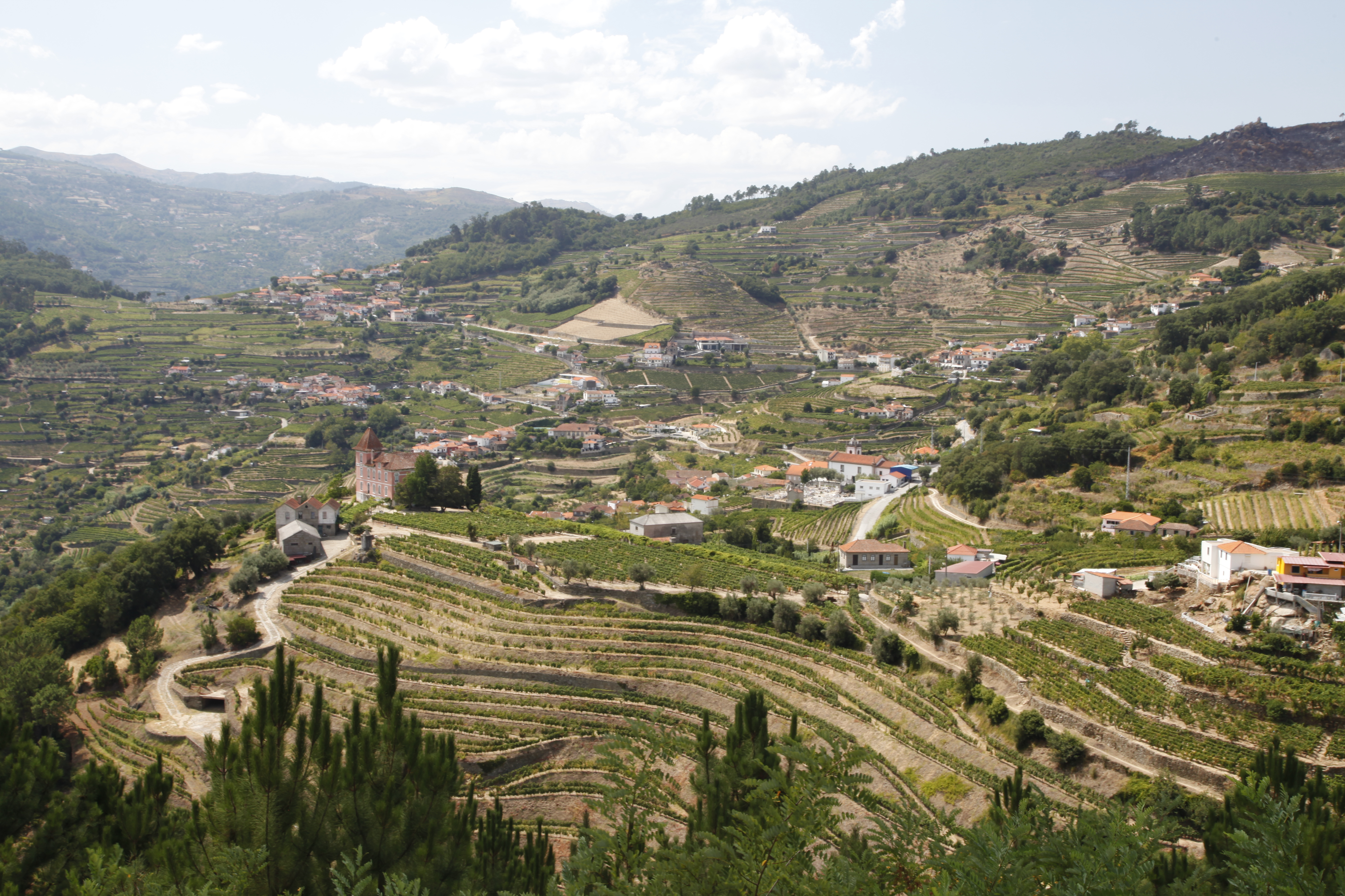 Douro vallei
