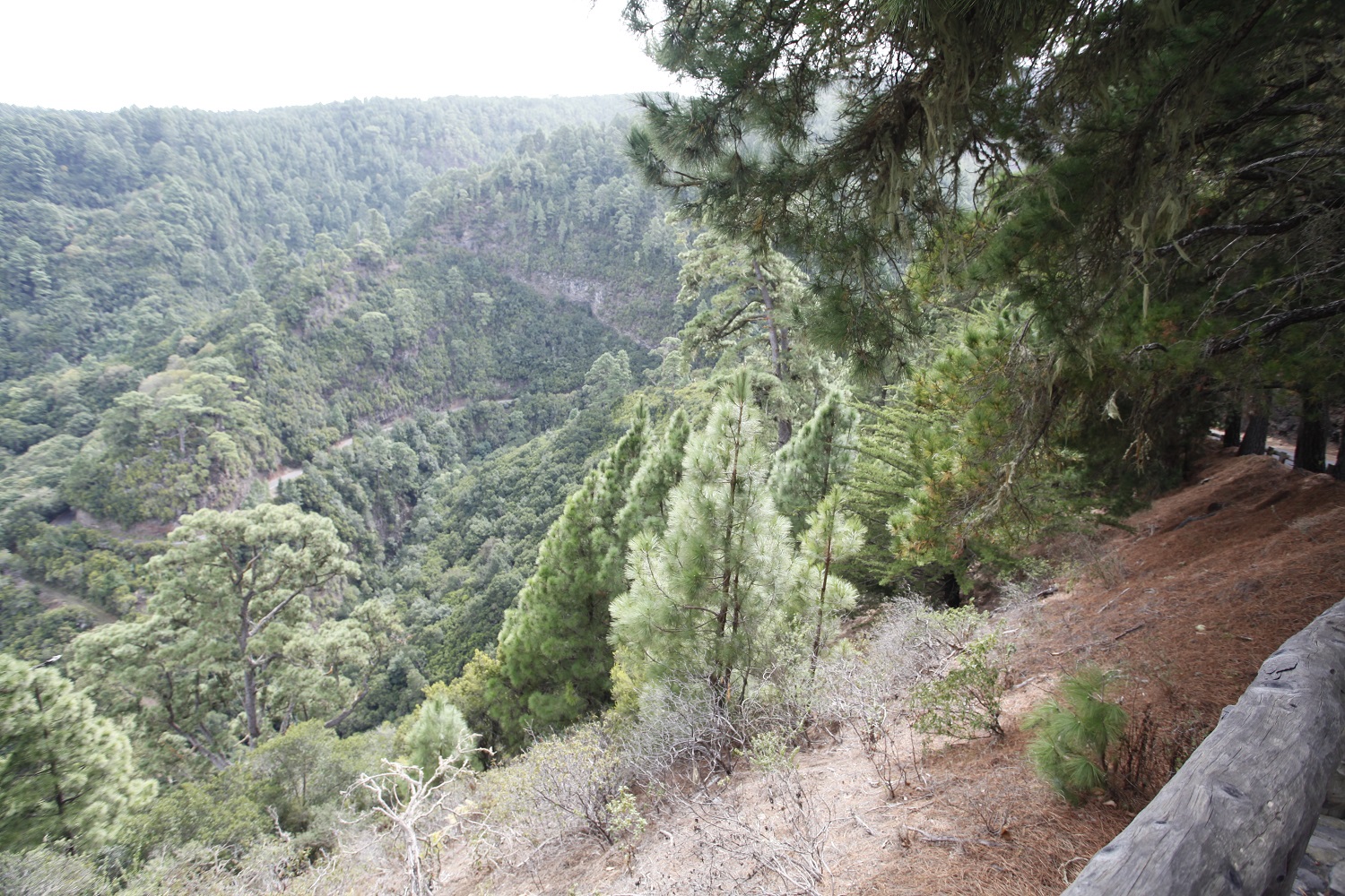 Noorden La Palma