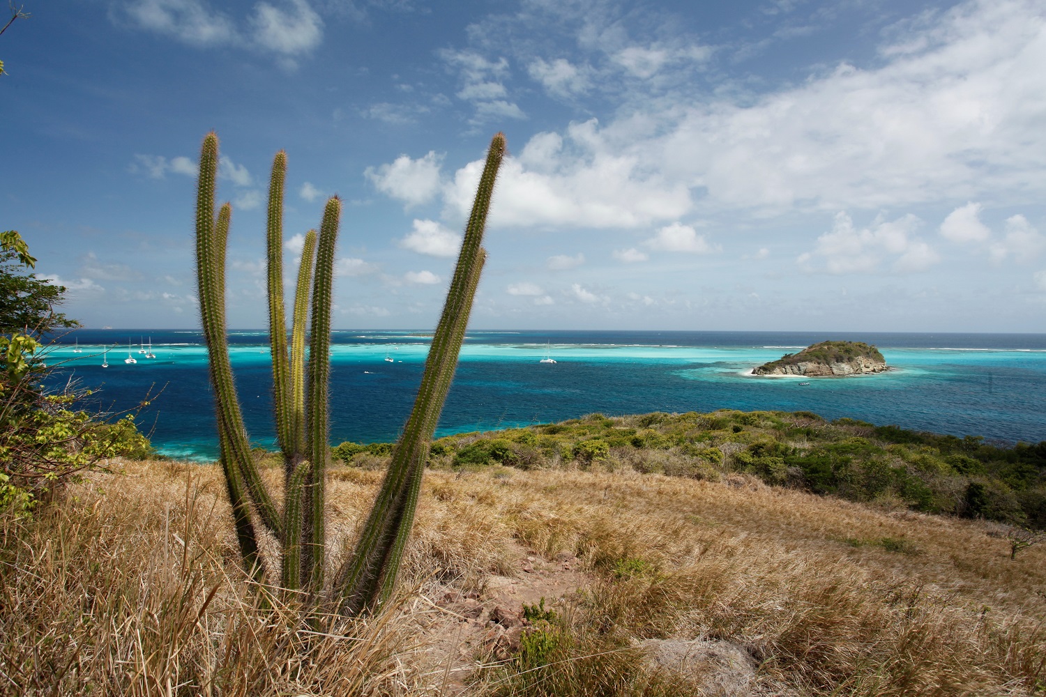 Tobago Cays