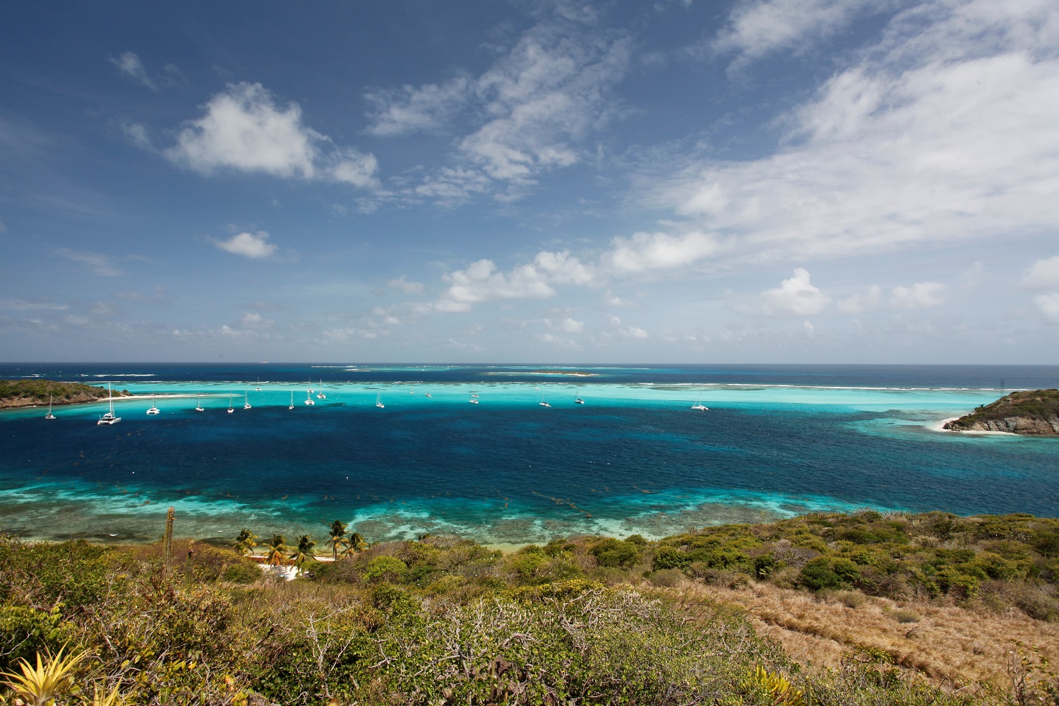 Tobago Cays