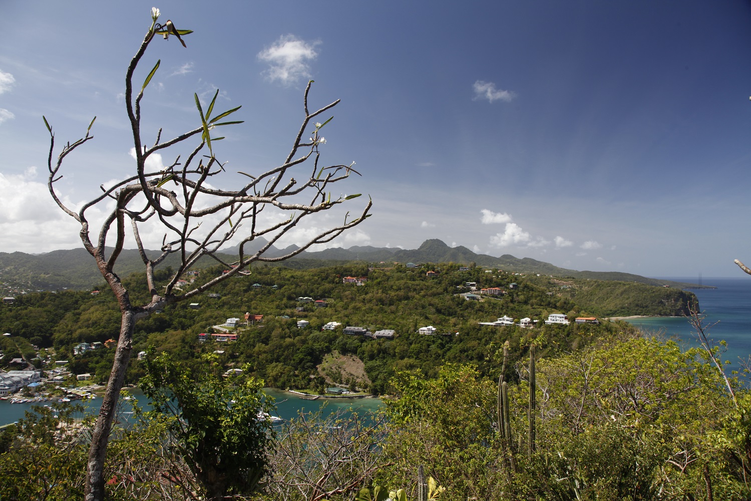 View Marigot Bay