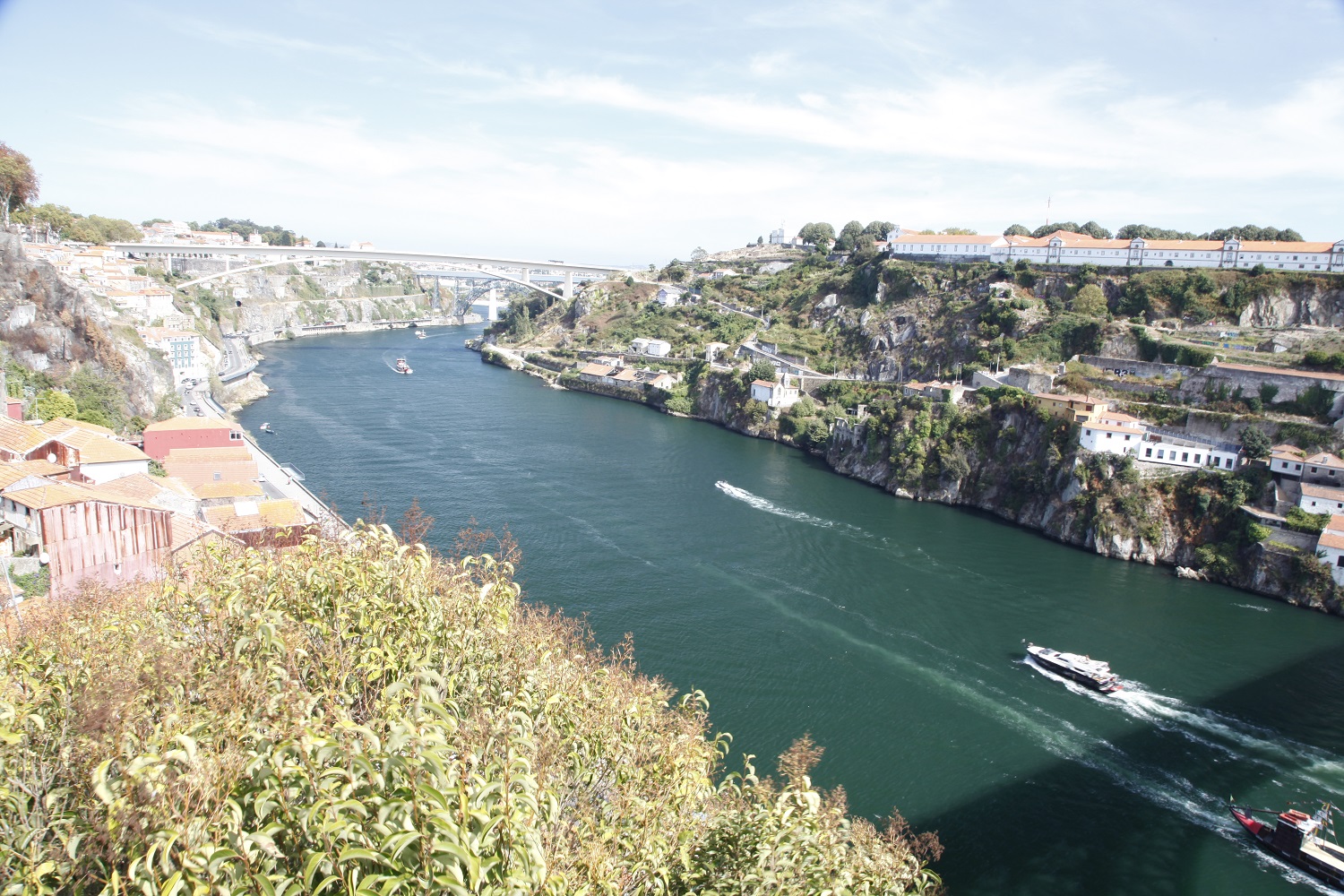 Douro view