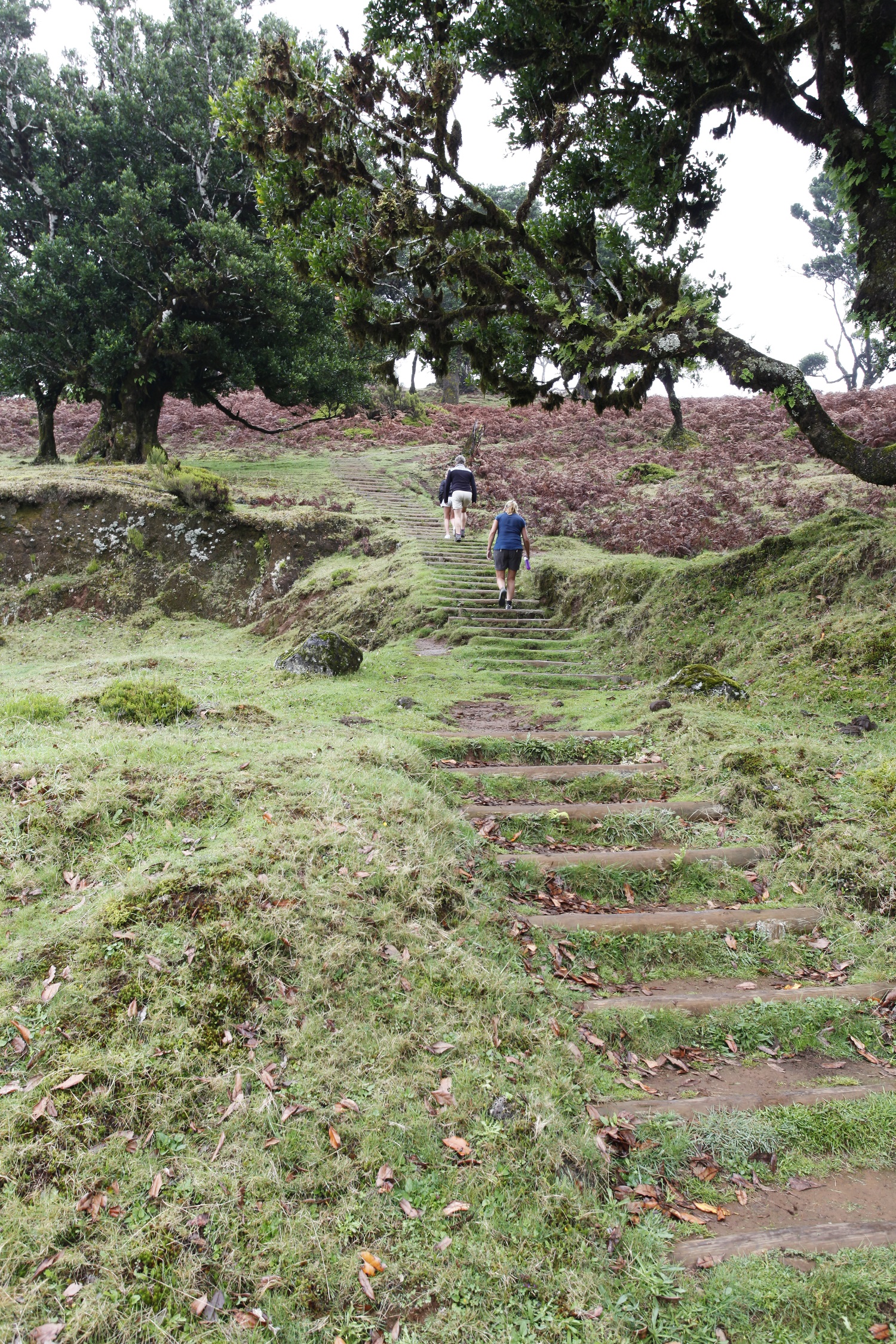 hiking